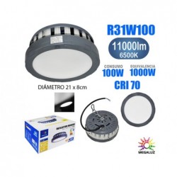 REFLECTOR R31W100