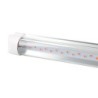 TUBO LED ROJO T8X2C04R